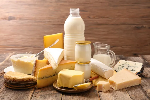 You are currently viewing The Impact of Lactose on Your Gut